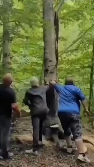 Приколы