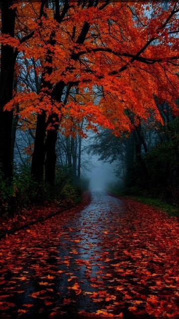 Природа