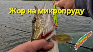 [2025]Рыбалка на спиннинг в октябре 4