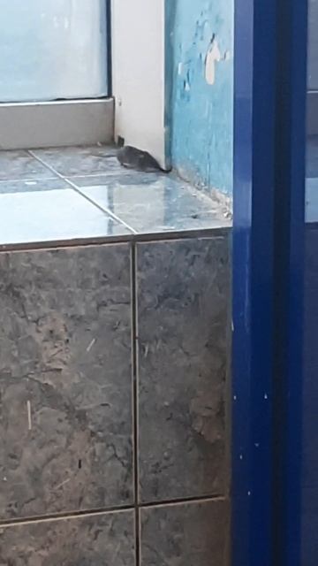 день,вокзал и безобразие смотреть онлайн