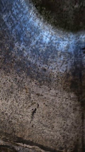 Карелия. Медвежьегорск. Гора Лысуха. Karelia. Medvezhyegorsk. Mount Lysukha смотреть онлайн