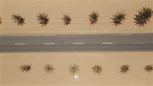 Cafe De Anatolia – Touch of Sand ｜ Ethnic Deep & Oriental Organic House & Desert Music (1080p30)