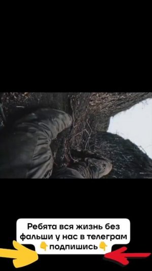 СВО👉ЖМИТЕ СЮДА👈