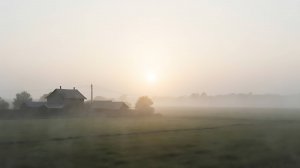 Я научилась просто, мудро жить. Анна Ахматова