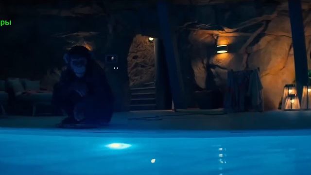 Примат. Фильм 2026. Русский трейлер фильма. смотреть онлайн