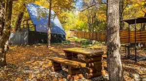 Афрейм ИНВИ в Лесу