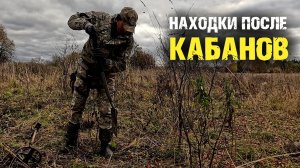 Как кабаны мне помогли найти монеты