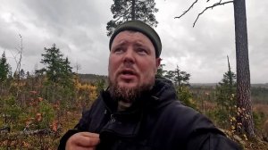 1 000 000 рублей на СБОРЕ ДИКОРОСОВ. СОБРАЛ ВСЕ ЯГОДЫ В КАРЕЛИИ. СБОРЩИК РАЗБОГАТЕЛ НА СБОРЕ ЯГОД