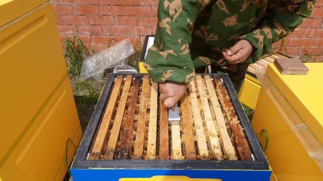 Переход Двухсемейных в Двухматочные Семьи!!!