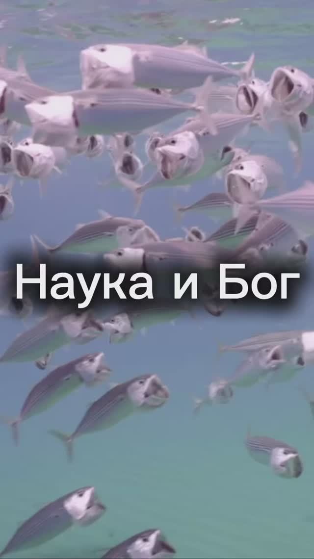 Наука и Бог