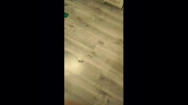 баскет 2 😵💫😵💫😵💫 смотреть онлайн