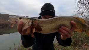 Неожиданный трофей на спиннинг .  Озеро "ЧИСТУХА"