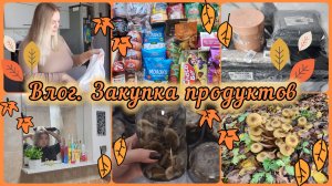 ЗАКУПКА ПРОДУКТОВ 🛒ЗАКАЗ ОЗОН📦ГРИБЫ НА ЗИМУ🍄