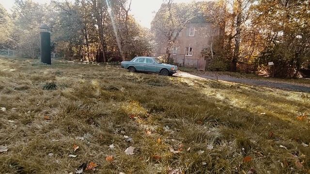 VID20251018133919 смотреть онлайн