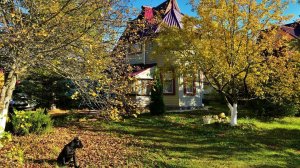 Осень,дача...Ждем снег...