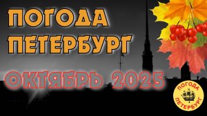 2025.10.17. Погода Петербург. 10:32. +6°. ЧАСТЬ-3. Качество-8К ВИДЕО 360°. КРУТИТЕ КАК ХОТИТЕ!!!