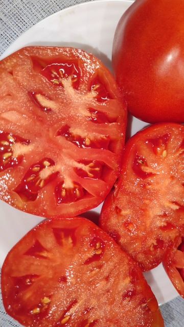 Такой томат вы точно не выращивали! Моя любовь на долгие года! #огород #томаты #plants #садоводство смотреть онлайн