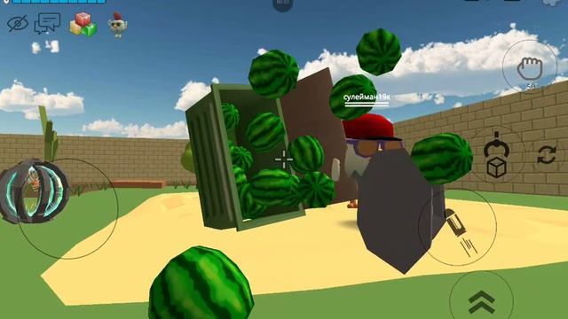 ЗАХОИВАЙДВЭРИ МУХИ ЛЭТЯТ