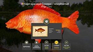 ЯНТАРНОЕ ФАРМ НА ЦВЕТНЫХ КАРПАХ, ЗИГ РИГ НА МЕДНОМ И ЗАРАБОТОК НА МОРЕ В РУССКОЙ РЫБАЛКЕ 4 РР4