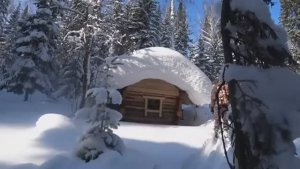 НЕДЕЛЮ В ТАЙГЕ. БЫТОВЫЕ ДЕЛА И ТАËЖНАЯ ВОЗНЯ. ЖИЗНЬ В ТАËЖНОЙ ИЗБЕ КАК ОНА ЕСТЬ.