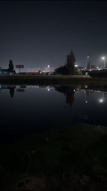 Сазан на 2 кг! Рыбалка Ташкент