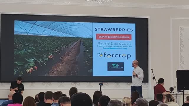 Антиконференция Клубничных пиратов в столице ягодного производства