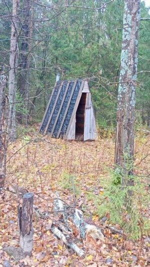 RAZA 52-001Семеновские леса