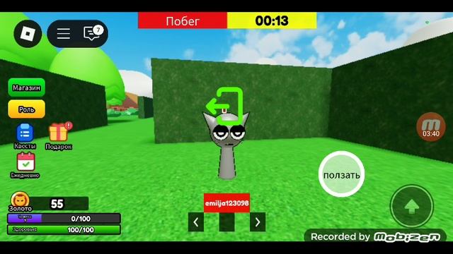 ИГРАЮ В СПРАННИ