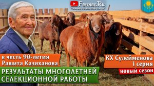 90 лет Рашиту Казиханову. Селекционная работа и новые линии эдильбаевских овец в КХ Сулейменовых