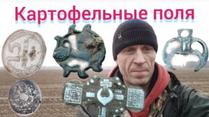 коп в картофельных полях