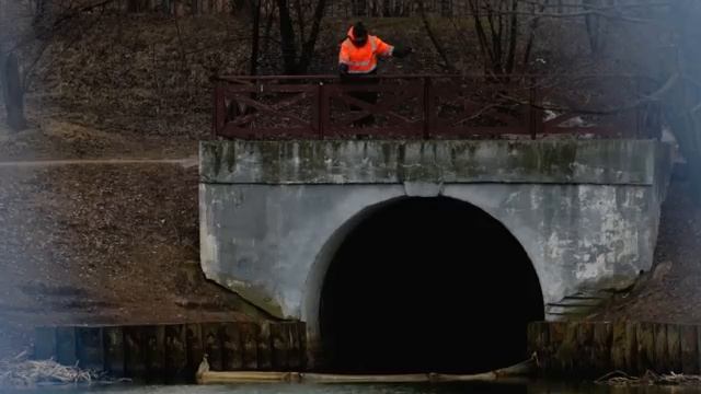 Ловил на 🍄