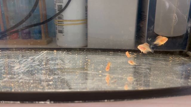 19-10-2025 смотреть онлайн