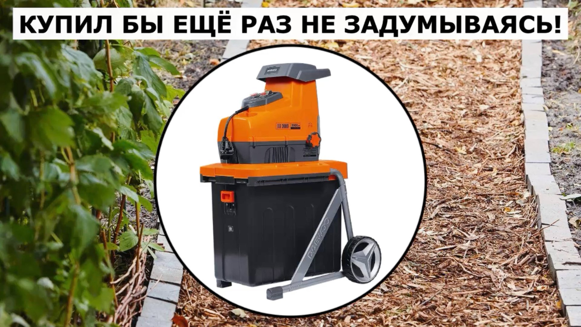 Измельчитель Daewoo DSR3000E смотреть онлайн
