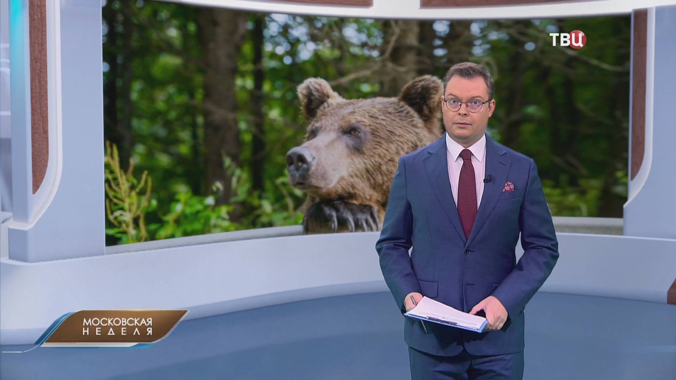 Медведи всё чаще выходят к людям в Подмосковье / Московская неделя на ТВЦ