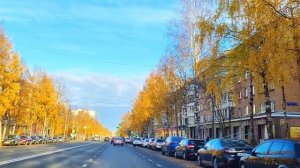 В Сыктывкаре осень золотая