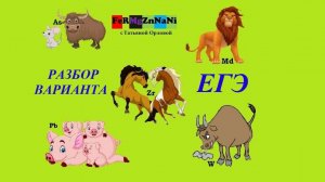 Разбор пробника. Задания №23-№28 (основная волна 2025)