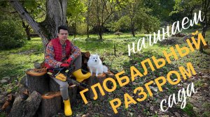 ПОМЕНЯЛИ ПИТЕР НА СЕЛО #51. Большая чистка сада: убираем старое, сажаем новое!