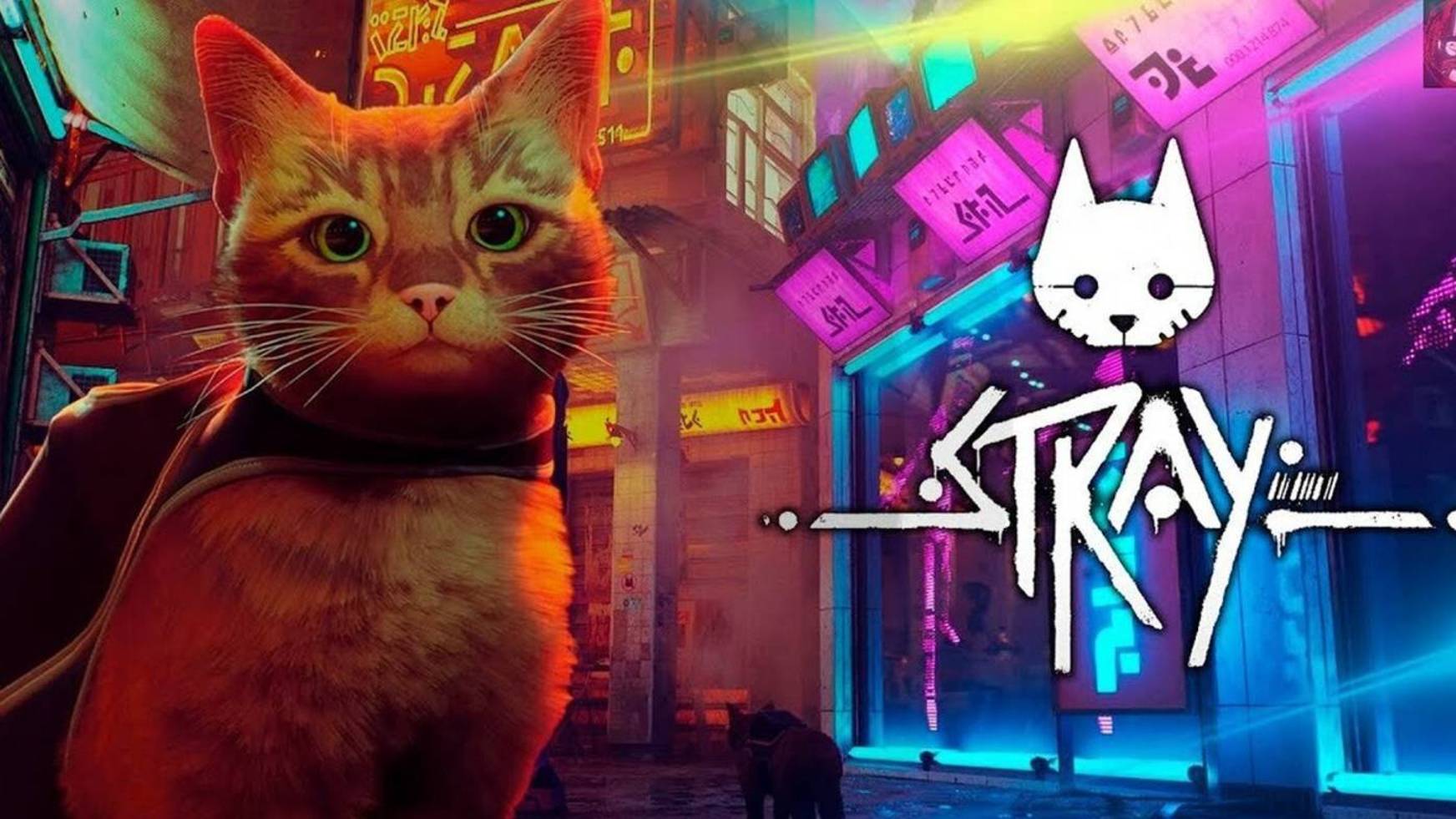 LeCHuZa_zZ мама Сова стримит. Прохождение STRAY, ЧАСТЬ_6
