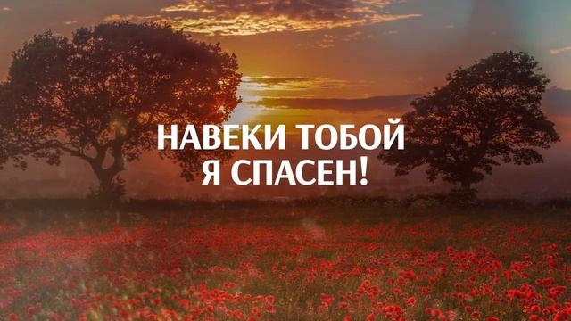 Живем в этом мире надеждой смотреть онлайн