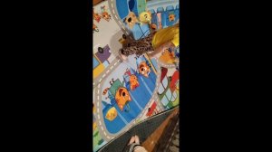 покупочки, распаковочки