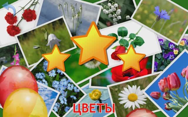 Изучаем Цветы. Карточки Домана для детей. Учимся играя. смотреть онлайн