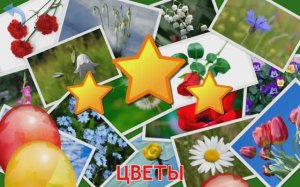 Изучаем Цветы. Карточки Домана для детей. Учимся играя.