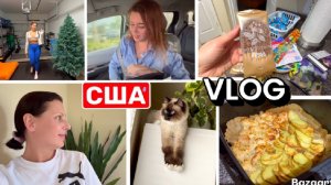 США Лиза на спорте Обновили входную зону Вычистила холодильник Наготовила Семейный ВЛОГ