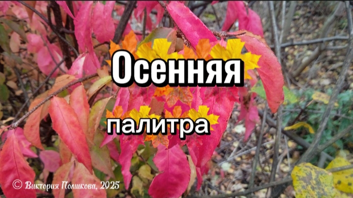 Осенняя палитра - песня о красоте осенней природы смотреть онлайн