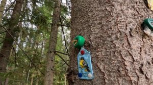 Дерево для новогодних праздников