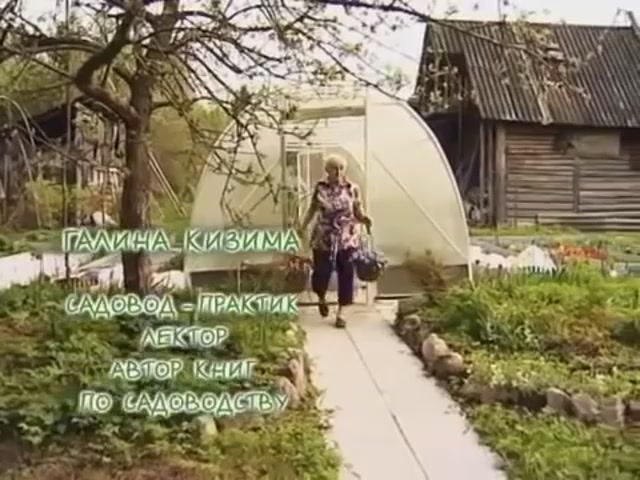 Огород без хлопот. Чередование культур смотреть онлайн