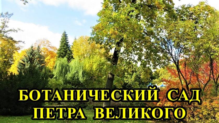 САНКТ-ПЕТЕРБУРГ: БОТАНИЧЕСКИЙ САД ПЕТРА ВЕЛИКОГО смотреть онлайн