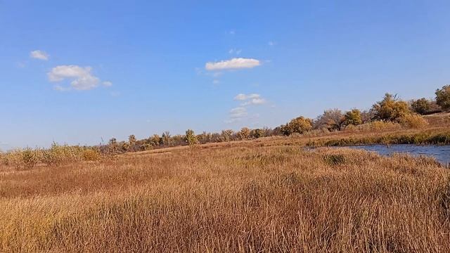 чуть-чуть плаваем смотреть онлайн