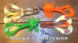 МЫШИ против ЛЯГУШЕК. Рыбалка с подписчиком.