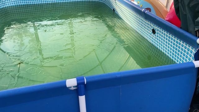 Бассейн в теплице. Подготовка к зиме. Обзор дачи осенью смотреть онлайн